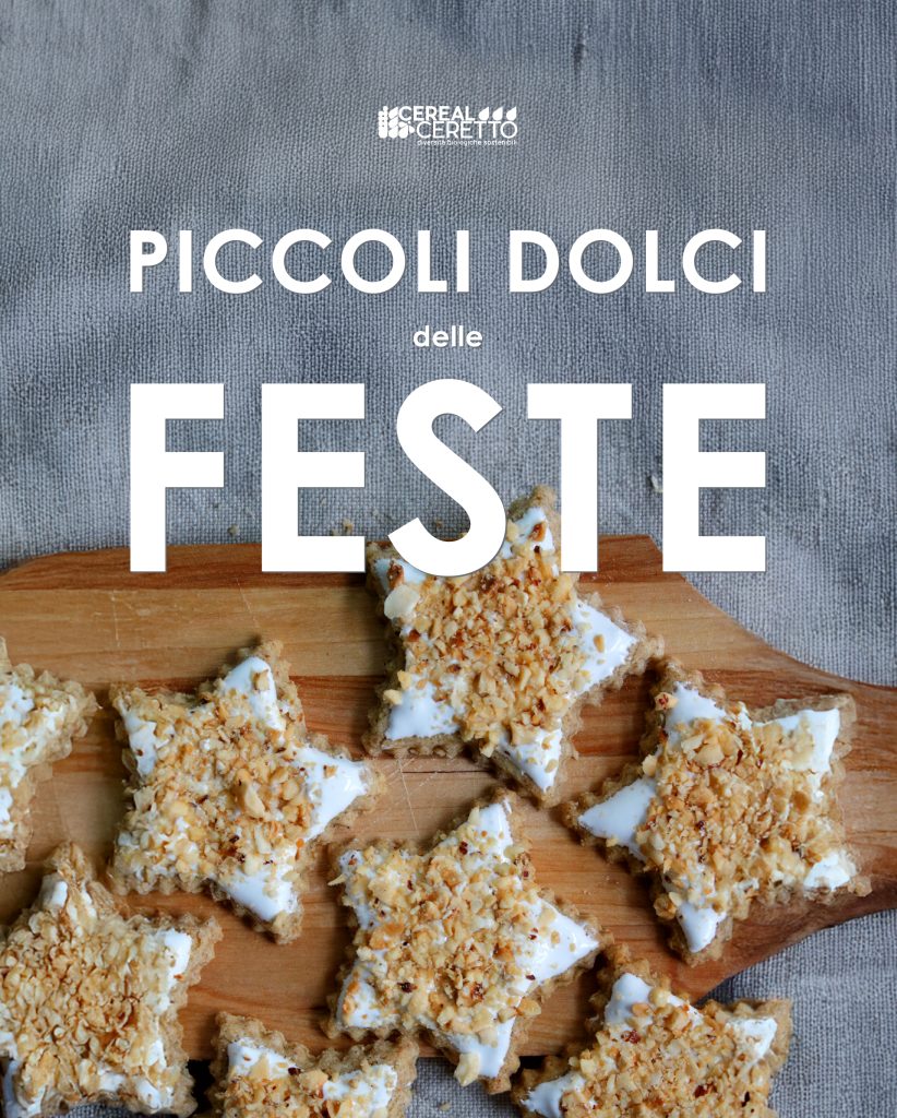La copertina del nostro ricettario dei dolci di Natale